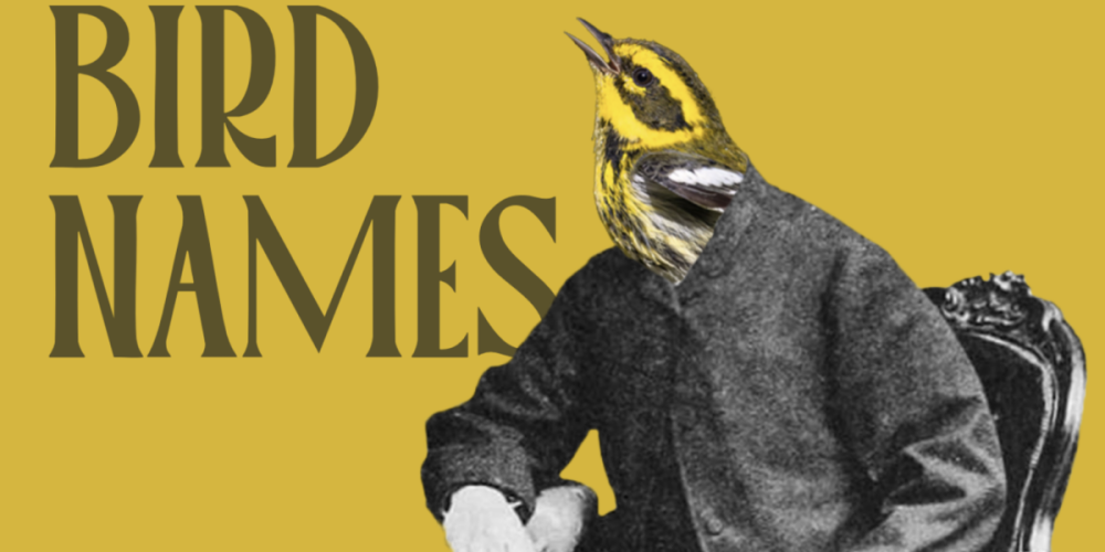 Screenshot 2025-12-08 at 15.13.31